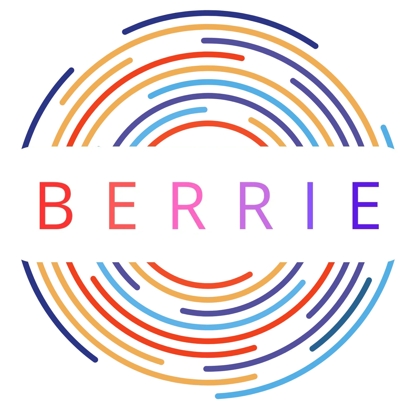 BERRIE BERRIE ICO Rating And Details CoinCheckup